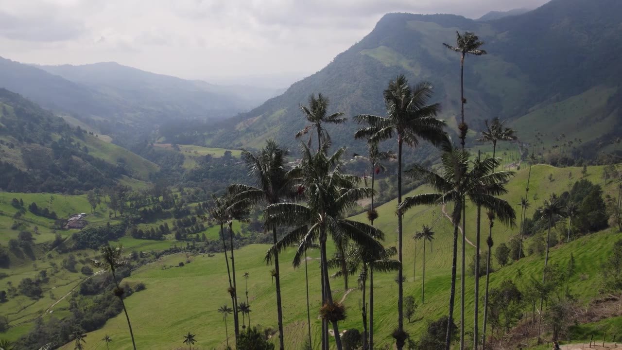 Salento y Valle de Cocora